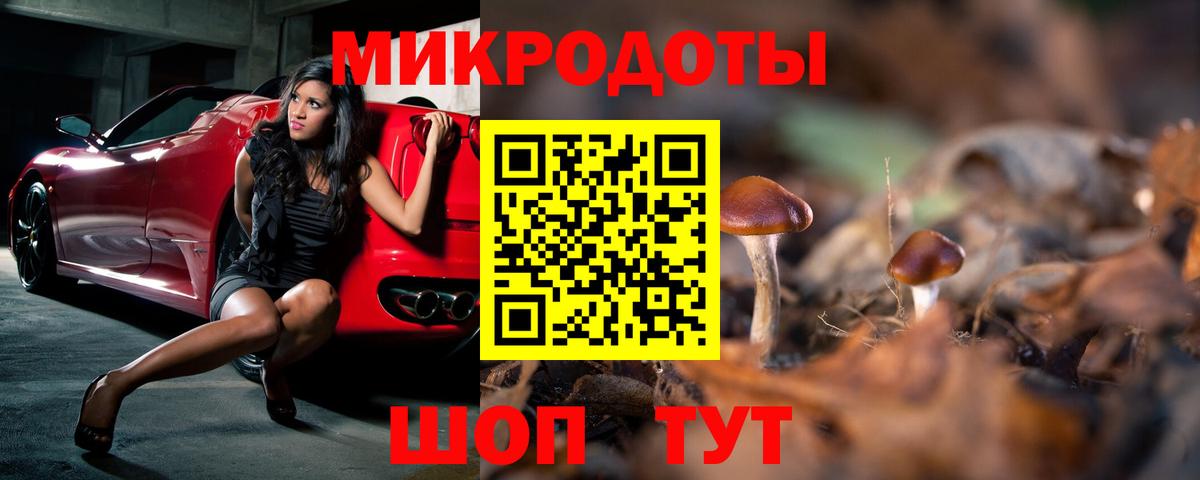 Горно-Алтайск  Псилоцибиновые грибы прущие грибы  где купить наркоту  Вход с VPN  Псилоцибиновые грибы Magic Shrooms 